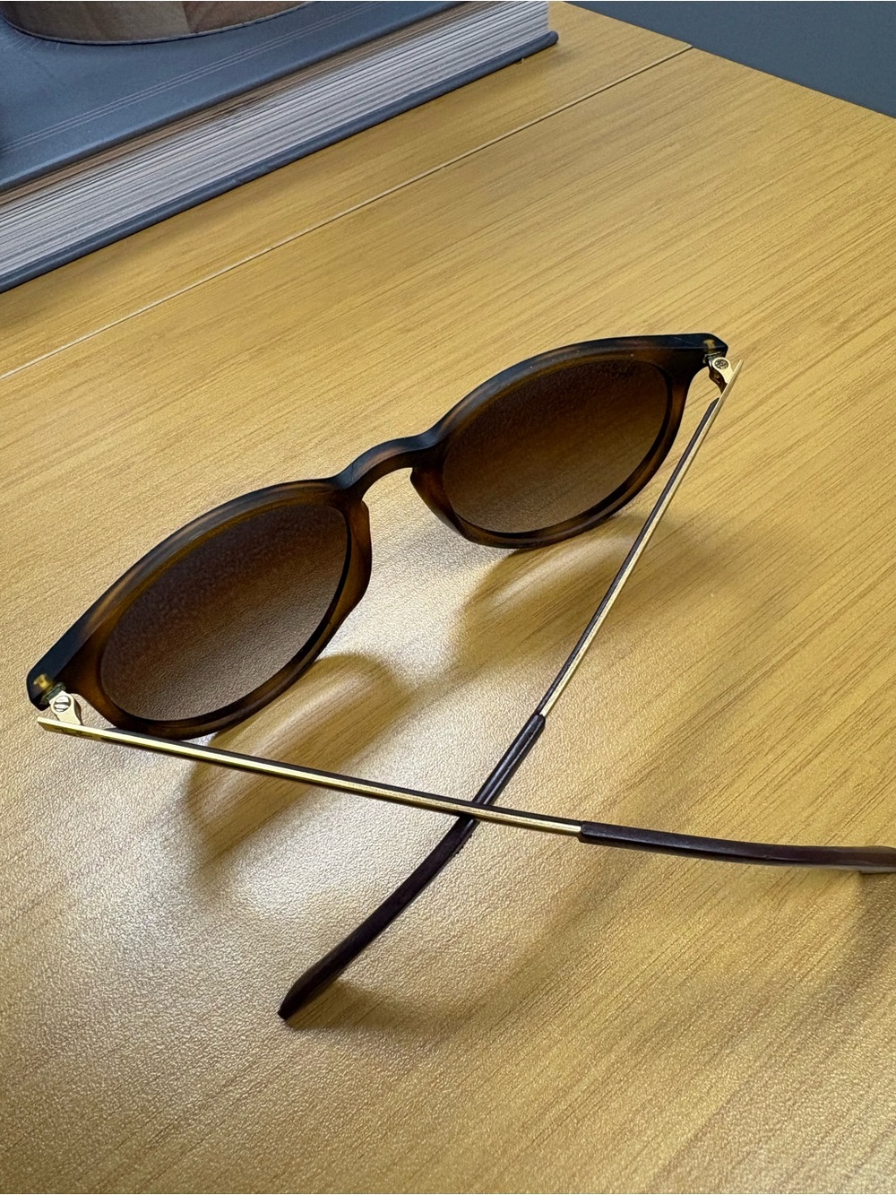 Erika Ray Ban Sunglasses - Picture 8 of 13